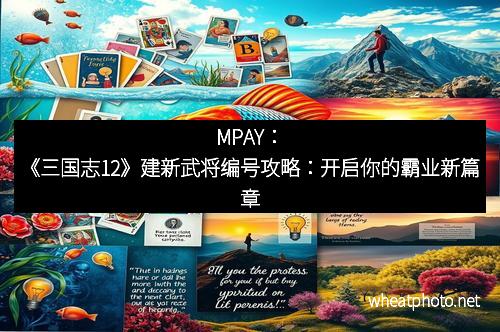 MPAY:《三国志12》建新武将编号攻略:开启你的霸业新篇章 MPAY:《三国志12》建新武将编号攻略:开启你的霸业新篇章